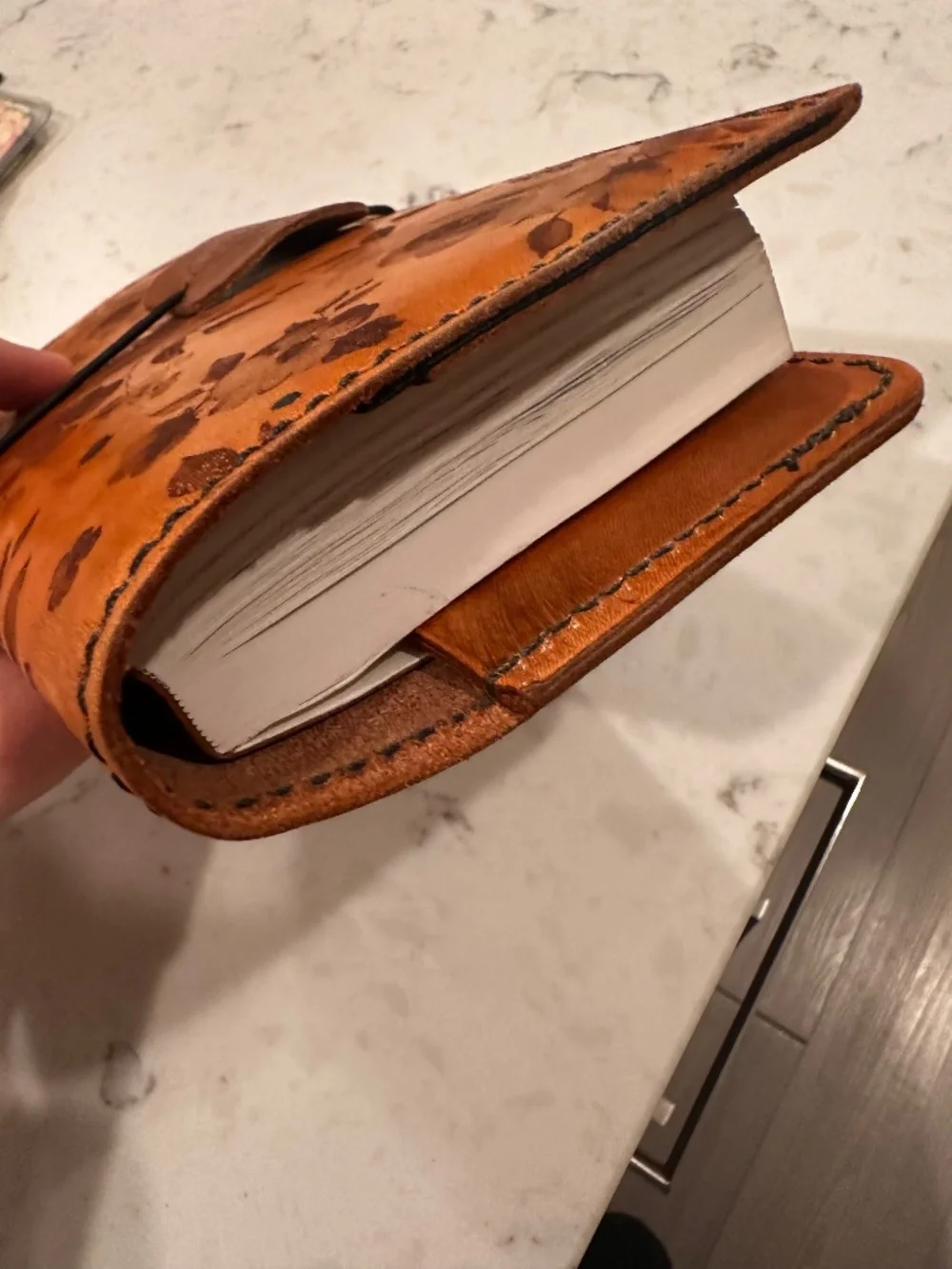 Hobonichi weeks leather cover